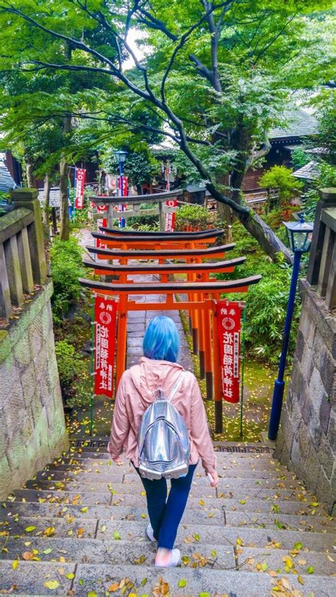 the daibutsu face|A Complete Guide to the Peaceful Pathways of Ueno Park in Tokyo